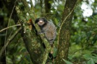 /album/rebio-parque-equitativa/images3-jpg/